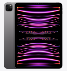 Планшет Apple iPad Pro 12.9" 2022 128GB  (серый) - фото